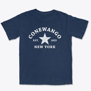 Conewango New York Star Premium Heavyweight T-shirt
