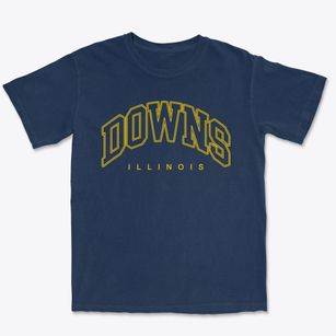 Downs Illinois Inline Premium Heavyweight T-shirt