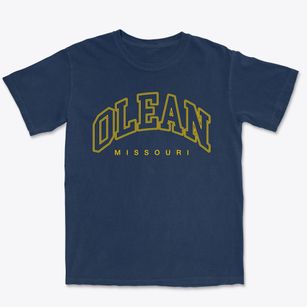 Olean Missouri Inline Premium Heavyweight T-shirt