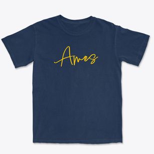 Ames Nebraska Freestyle Premium Heavyweight T-shirt