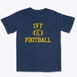 Ivy Illinois Football Premium Heavyweight T-shirt