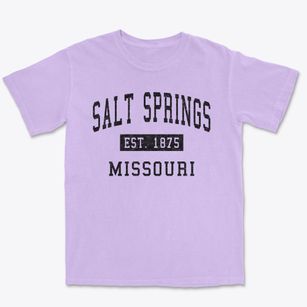 Salt Springs Missouri Classic Established Premium Heavyweight T-shirt