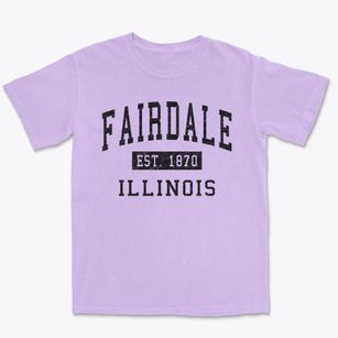 Fairdale Illinois Classic Established Premium Heavyweight T-shirt