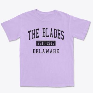 The Blades Delaware Classic Established Premium Heavyweight T-shirt