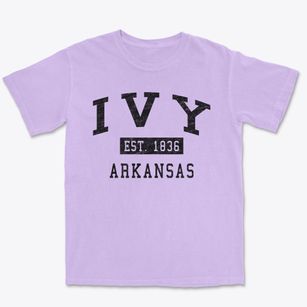 Ivy Arkansas Classic Established Premium Heavyweight T-shirt