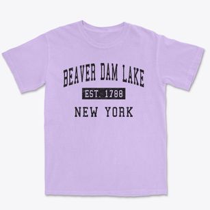 Beaver Dam Lake New York Classic Established Premium Heavyweight T-shirt