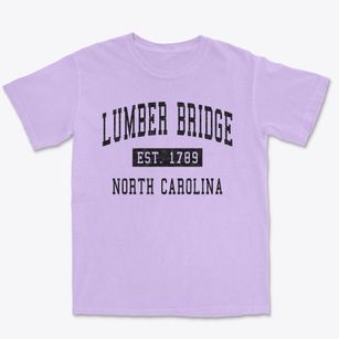 Lumber Bridge North Carolina Classic Established Premium Heavyweight T-shirt