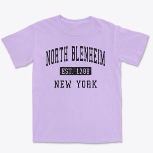 North Blenheim New York Classic Established Premium Heavyweight T-shirt