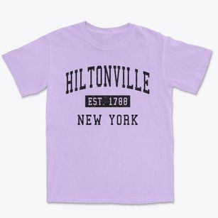 Hiltonville New York Classic Established Premium Heavyweight T-shirt