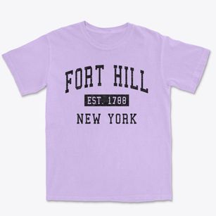 Fort Hill New York Classic Established Premium Heavyweight T-shirt