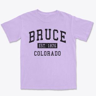Bruce Colorado Classic Established Premium Heavyweight T-shirt