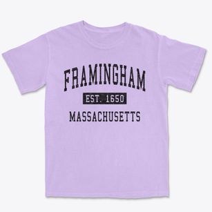 Framingham Massachusetts Classic Established Premium Heavyweight T-shirt