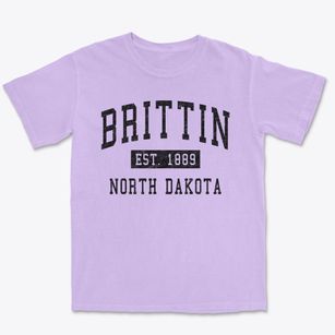 Brittin North Dakota Classic Established Premium Heavyweight T-shirt