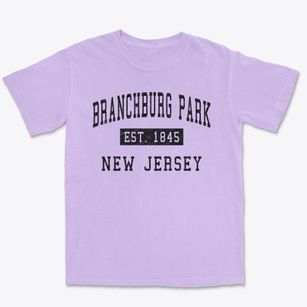 Branchburg Park New Jersey Classic Established Premium Heavyweight T-shirt