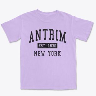 Antrim New York Classic Established Premium Heavyweight T-shirt