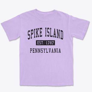 Spike Island Pennsylvania Classic Established Premium Heavyweight T-shirt