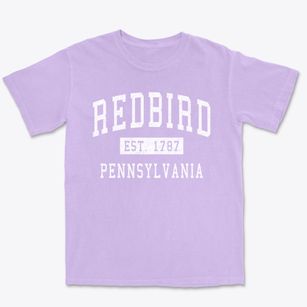Redbird Pennsylvania Classic Established Premium Heavyweight T-shirt