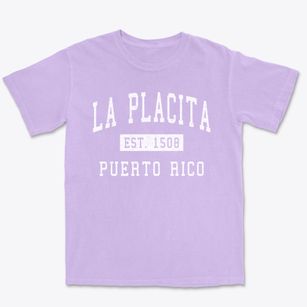 La Placita Puerto Rico Classic Established Premium Heavyweight T-shirt