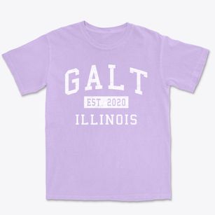 Galt Illinois Classic Established Premium Heavyweight T-shirt