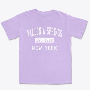 Vallonia Springs New York Classic Established Premium Heavyweight T-shirt