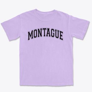 Montague Village Elementary School Varsity Arch Premium Heavyweight T-shirt