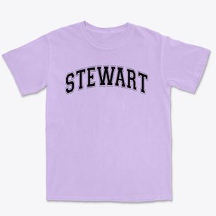 Stewart Elementary School Varsity Arch Premium Heavyweight T-shirt