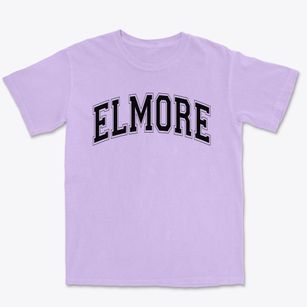 Elmore Elementary School Varsity Arch Premium Heavyweight T-shirt