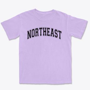 Northeast Elementary School Varsity Arch Premium Heavyweight T-shirt