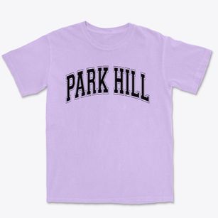 Park Hill Christian Academy Varsity Arch Premium Heavyweight T-shirt