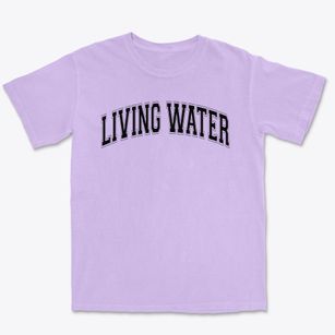 Living Water Christian Academy Varsity Arch Premium Heavyweight T-shirt