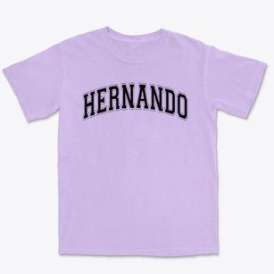 Hernando Elementary School Varsity Arch Premium Heavyweight T-shirt