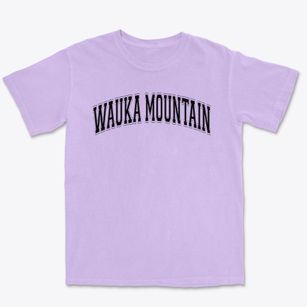 Wauka Mountain Elementary School Varsity Arch Premium Heavyweight T-shirt