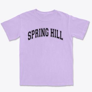 Spring Hill Elementary School Varsity Arch Premium Heavyweight T-shirt