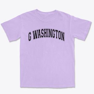 G Washington Elementary School Varsity Arch Premium Heavyweight T-shirt