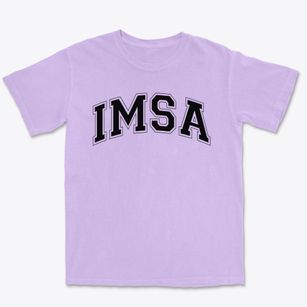 Illinois Mathematics And Science Academy Varsity Arch Premium Heavyweight T-shirt