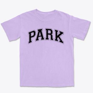 Park Elementary School Varsity Arch Premium Heavyweight T-shirt