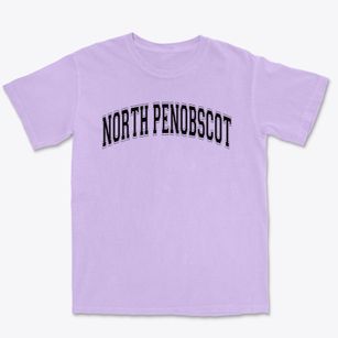 North Penobscot Technological School Varsity Arch Premium Heavyweight T-shirt