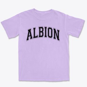 Albion Senior High School Varsity Arch Premium Heavyweight T-shirt