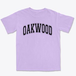 Oakwood Elementary School Varsity Arch Premium Heavyweight T-shirt