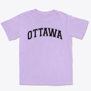 Ottawa Elementary School Varsity Arch Premium Heavyweight T-shirt