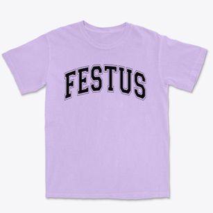Festus Elementary School Varsity Arch Premium Heavyweight T-shirt