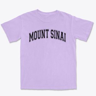 Mount Sinai High School Varsity Arch Premium Heavyweight T-shirt