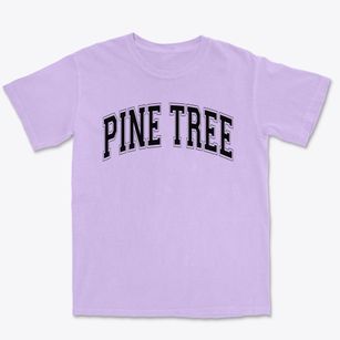 Pine Tree Elementary School Varsity Arch Premium Heavyweight T-shirt