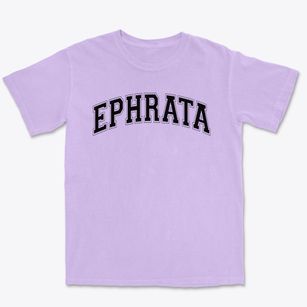 Ephrata Area Middle School Varsity Arch Premium Heavyweight T-shirt