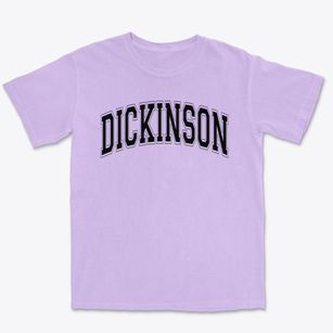 Dickinson Elementary School Varsity Arch Premium Heavyweight T-shirt