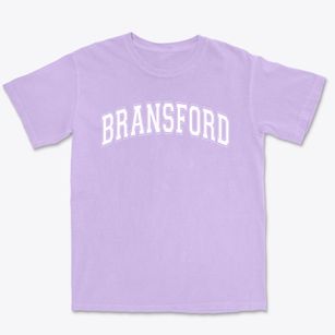 Bransford Elementary School Varsity Arch Premium Heavyweight T-shirt