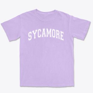 Sycamore Elementary School Varsity Arch Premium Heavyweight T-shirt