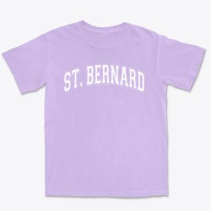 Saint Bernard School Varsity Arch Premium Heavyweight T-shirt