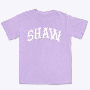 Shaw Elementary School Varsity Arch Premium Heavyweight T-shirt
