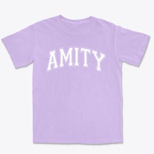 Amity Elementary School Varsity Arch Premium Heavyweight T-shirt